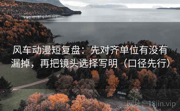 风车动漫短复盘：先对齐单位有没有漏掉，再把镜头选择写明（口径先行）