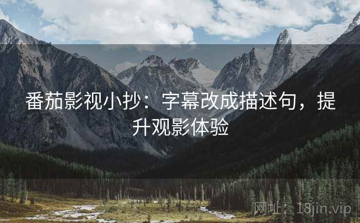 番茄影视小抄：字幕改成描述句，提升观影体验